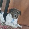 Il mio nome è Jacky - @jacky.russell - TikTok