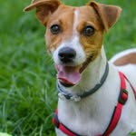 Jacky Russell - @moanalive554 - Instagram