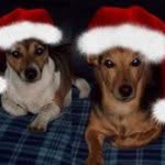 Jacky Russell - @jacky_russell1 - Instagram