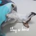 Jacky Russell - Facebook