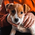 Jacky Russell - @jacky_rusell - Instagram
