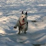 Jacky Russell - @jacky.russell.739 - Instagram