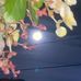 Jacky Tai - Facebook