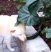 Jacky Tai - Facebook