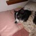 Jacky Wright - Facebook