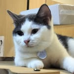 jack 健豪 - @jackyzhuho - Instagram