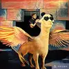 Jacky Zhu - @30435531777 - TikTok