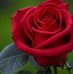 Payal Jaglan - Facebook