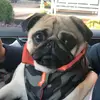 Jackie - @jaclyn.bomberger - TikTok