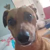 Jaclynn Biggs - @jaclynnbiggs - TikTok