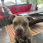 Jaclyn Diaz Rathel - Facebook