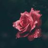 Jacklyn Buttner - @jacklynbuttner9597 - TikTok