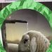 Jacklyn Carney - Facebook