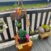 Jackie Coates - Facebook