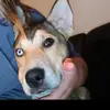 Jaycelyn Dennison - @jaycelyn.dennison3 - TikTok