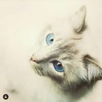 Doyle Jaclyn - @doyle.jaclyn621 - Instagram