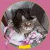 Jaclyn Durand - Facebook