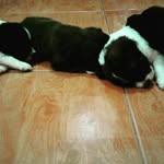 mrs_duran - @jaclyn_duran16 - Instagram