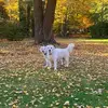 Jaclyn Heller - @jaclyn.heller - TikTok