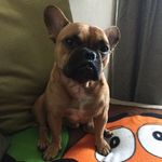 JaclynJuarez_7137 - @therese_lluch - Instagram