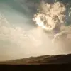 jackalyn_larkin552 - @jackalyn_larkin552 - TikTok