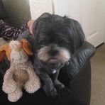 Jackie Larkin - Facebook