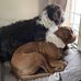 Jaclyn Morgan Mackey - Facebook