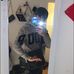 Jardyn Cook - Facebook