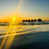 Jaclyn.Riddle - @jaclynriddlefbwjoun - TikTok