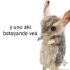 JaclynSnow - @jaclynsnowcxmybqnl - TikTok