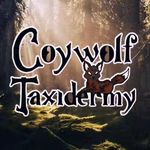 Jaclyn (Stone) Goeke - @coywolftaxidermy - Instagram