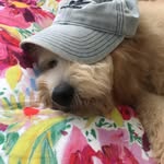 Jaclyn - @jaclyn_thrifts - Instagram