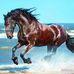 Jaclyn Tolin - Facebook