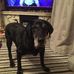Jackie Wakefield - Facebook