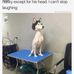 Jacklyn Wall - Facebook