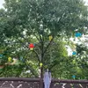 jaclynwallace70534 - @jaclynwallace705 - TikTok
