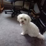 Jackie Walsh - Facebook