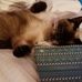 Jaclynn Webster - Facebook