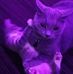 Jaidyn Westfall - Facebook