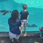 Jaclyn Williams - @jaclyn.williams.752 - Instagram