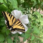 Jaclyn Winters - Facebook