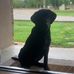 Jaclyn Wooten - Facebook