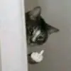 Jazlyn Zepeda - @jazlyn.zepeda - TikTok
