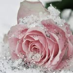 jackie_is_the_name_11 - @jaclynnsparks - Instagram