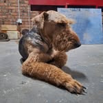 Jaco Botha - @e902011330 - Instagram