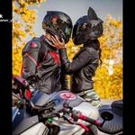Jaco Scheepers - @jaco.scheepers.946 - Instagram