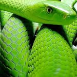 Jaco Snyman - @jaco.snyman.792 - Instagram