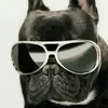 jacosnyman446 - @jaco.snyman - TikTok