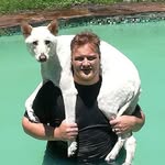 Jaco Wiese - @jaco.wiese.33 - Instagram