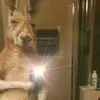 Jacob Aaron Stmz - @jacob.aaron.stmz - TikTok